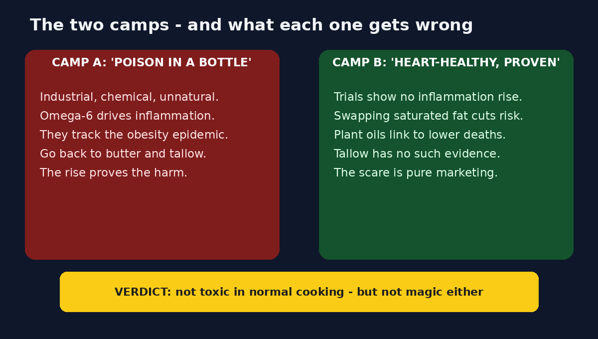 Diagram of the two camps in the seed oil debate: poison in a bottle versus heart-healthy and proven, with the verdict that seed oils are not toxic in normal cooking but are not magic either