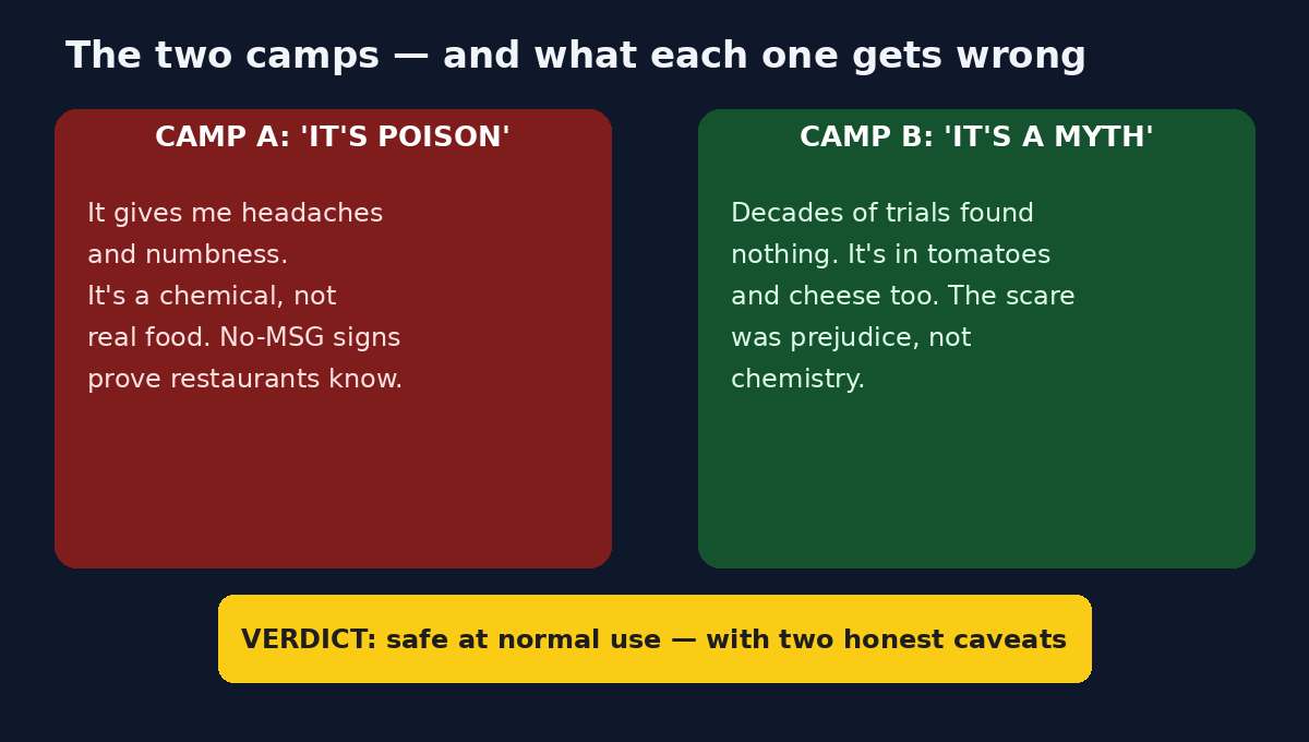 Diagram of the two MSG camps and the evidence-based verdict between them